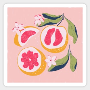 Citrus on pink Sticker